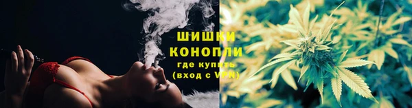гидропоника Белоозёрский
