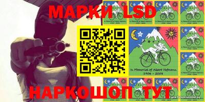 дмт Гатчина