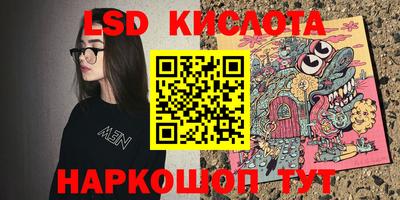 дмт Гатчина