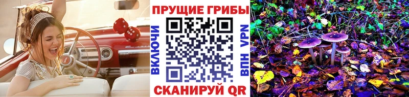Псилоцибиновые грибы MAGIC MUSHROOMS  kraken маркетплейс  Гусев  хочу наркоту 