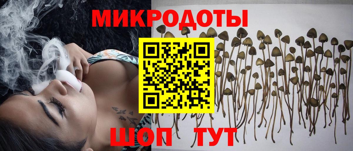 Гусев  Псилоцибиновые грибы GOLDEN TEACHER  Вход с VPN 