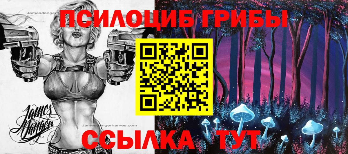 Псилоцибиновые грибы Magic Shrooms  Гусев 